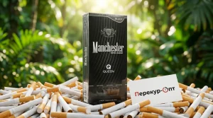 Manchester Queen Black (Манчестер Квин Блэк)