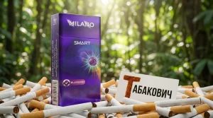 Milano Smart Blueberry | Милано Смарт Черника