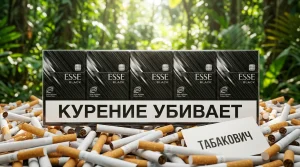 ESSE BLACK | ЕССЕ ЧЕРНЫЙ