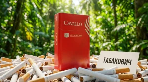 Cavallo Vulcano Red | Кавалло вулкано рэд
