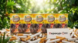 Esse Summer Pop | ЕССЕ САММЕР ПОП