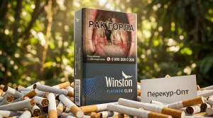Winston Platinum Club | ВИНСТОН ПЛАТИНУМ КЛАБ