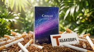 Cavallo Clip & Go