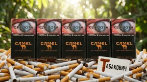 CAMEL SPECIAL EDITION CHOCOLATE | КЭМЛ СПЕШЛ ЭДИШН ШОКОЛАД