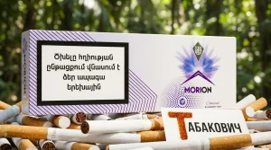 MORION COMPACT BLUEBERRY MINT | Морион компакт голубика мята