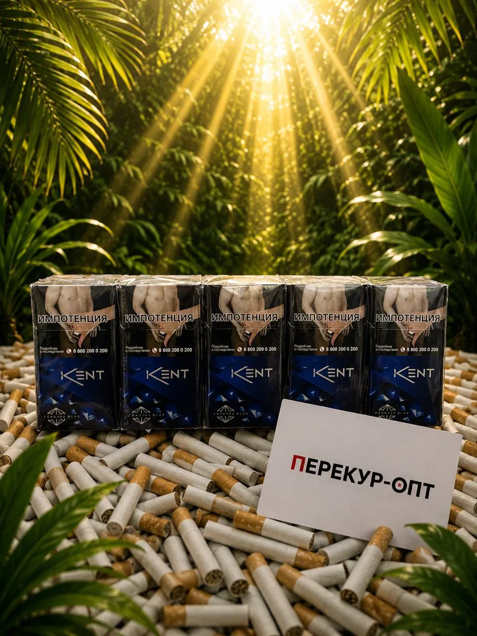 Кент Дарк Блю купить оптом в Москве